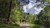 Wald-Safari Naturf&uuml;hrung (7)