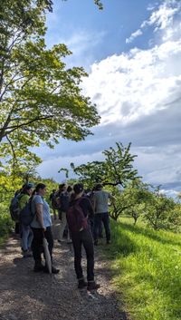 Wald-Safari Naturf&uuml;hrung (8)