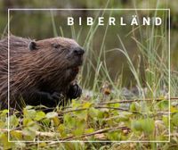 Biberführung im Naturpark